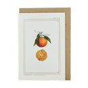 Greeting card with illustration of a clementine on a white background