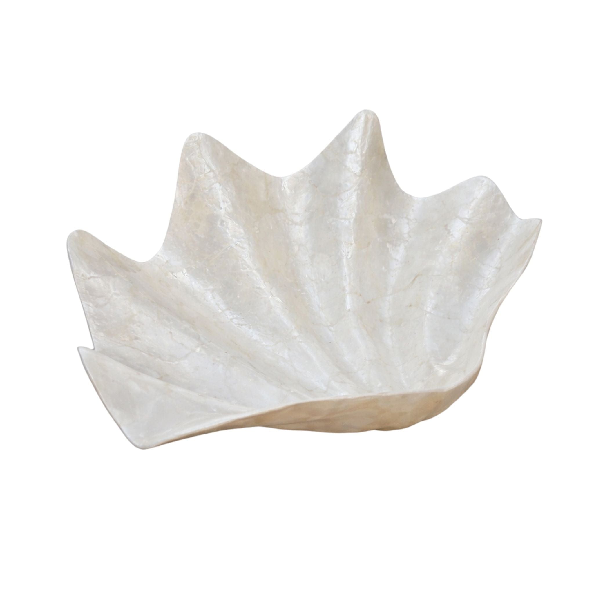 Crushed Shell Large Clam Bowl – Little & Fox