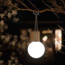 Futuristic pendant light hanging from a tree branch at night