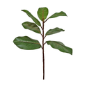 Faux Green Real Touch Magnolia Branch