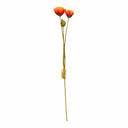 faux-orange-provence-poppy_Little-and-fox