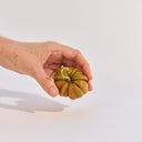 heirloom-tomato-candle--small-green-held_Little-and-Fox