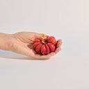 heirloom-tomato-candle--small-red-held_Little-and-Fox