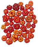 heirloom-tomatoes-red_Little-and-Fox