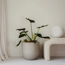 Lisbon 400 Indoor & Outdoor Planter