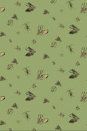 Insect Wallpaper PRE ORDER