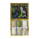 Jungle Black Assorted Soap Set of 6
