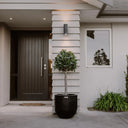 Modern house exterior with a dark door, light-colored walls, and a potted plant.
