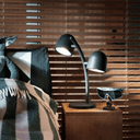 Little Lebow Anthracite