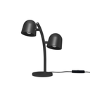 Little Lebow Anthracite