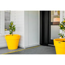 Yellow planters with trees outside a building entrance