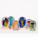 medusa-glow-lamps_Little-and-Fox