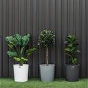 Three potted plants in front of a corrugated metal wall.