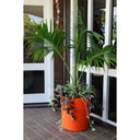 Potted plant in an orange pot on a patio