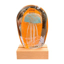 orange-medusa-lamp_Little-and-Fox