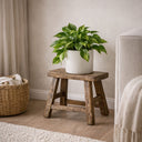 Oriental Elm Artisan Stools