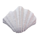 Pacific Shell Wall Sconce