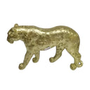 Panthera Brassy Leopard
