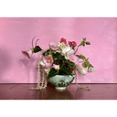 pearls-unframed-limited-edition-print-pre-order