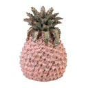 Pink Pineapple 12cm Bud Vase