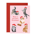 Christmas card with cats wearing Santa hats and text 'Have a purrfect Christmas!' on a pink background.