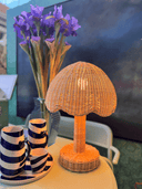 rattan-scalloped-bedside-lamp-Main_Little-and-Fox
