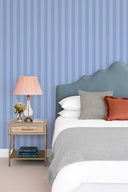 Remarkables Mountain Stripe PRE ORDER