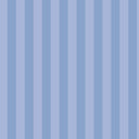 Remarkables Mountain Stripe PRE ORDER