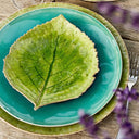 riviera-leaf-plate-22cm-green_Little-and-fox