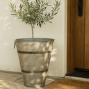Potted olive tree in a metal planter outside a wooden door.