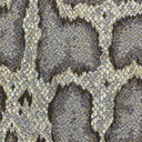 Serpentis Taupe 60x40cm Piped Cushion