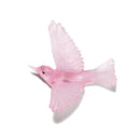Silvereye Pink Glass Wall Art