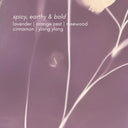 Smoked Lavender Hand & Body Lotion