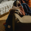 Westport Multi Throw