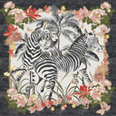 Zebra Waltz Black 250x250cm Hand Tufted Rug