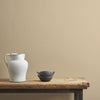 Old Ochre 120ml Wall Paint