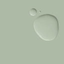Terre Verte 2.5L Wall Paint