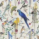 Birds Sinfonia Wallpaper PRE ORDER