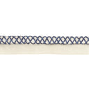 Lip Cord Trim in Blue