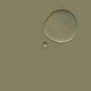 Olive 2.5L Wall Paint
