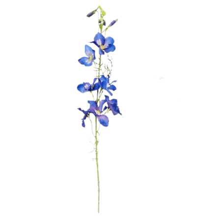 Faux Tall Larkspur