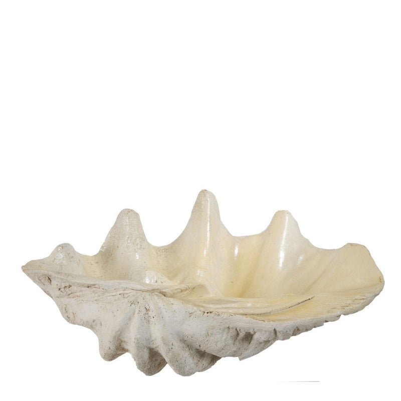 Large-Cream-Clam-Shell Little & Fox