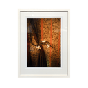 Richard Brimmer Hugh Hefner Shower