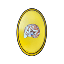 Shell Iron Tray Small