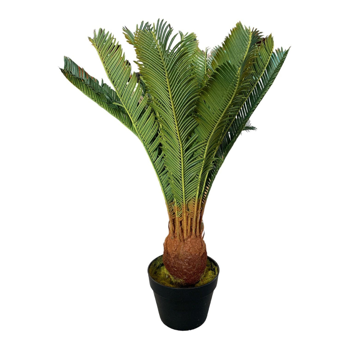 Faux Cycas 70cm Palm