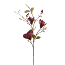 Pink-Magnolia-Branch-Little-and-Fox