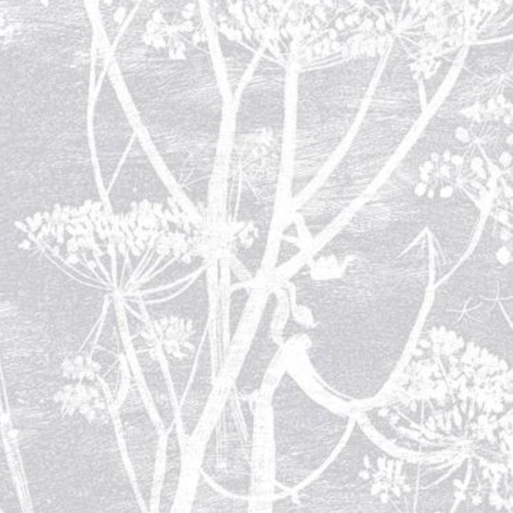 Cole and Son Cow Parsley Wallpaper PREORDER