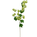 Faux Tall Hop Flower