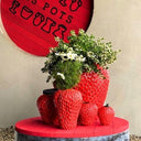 Strawberry vases sitting on a coffee table