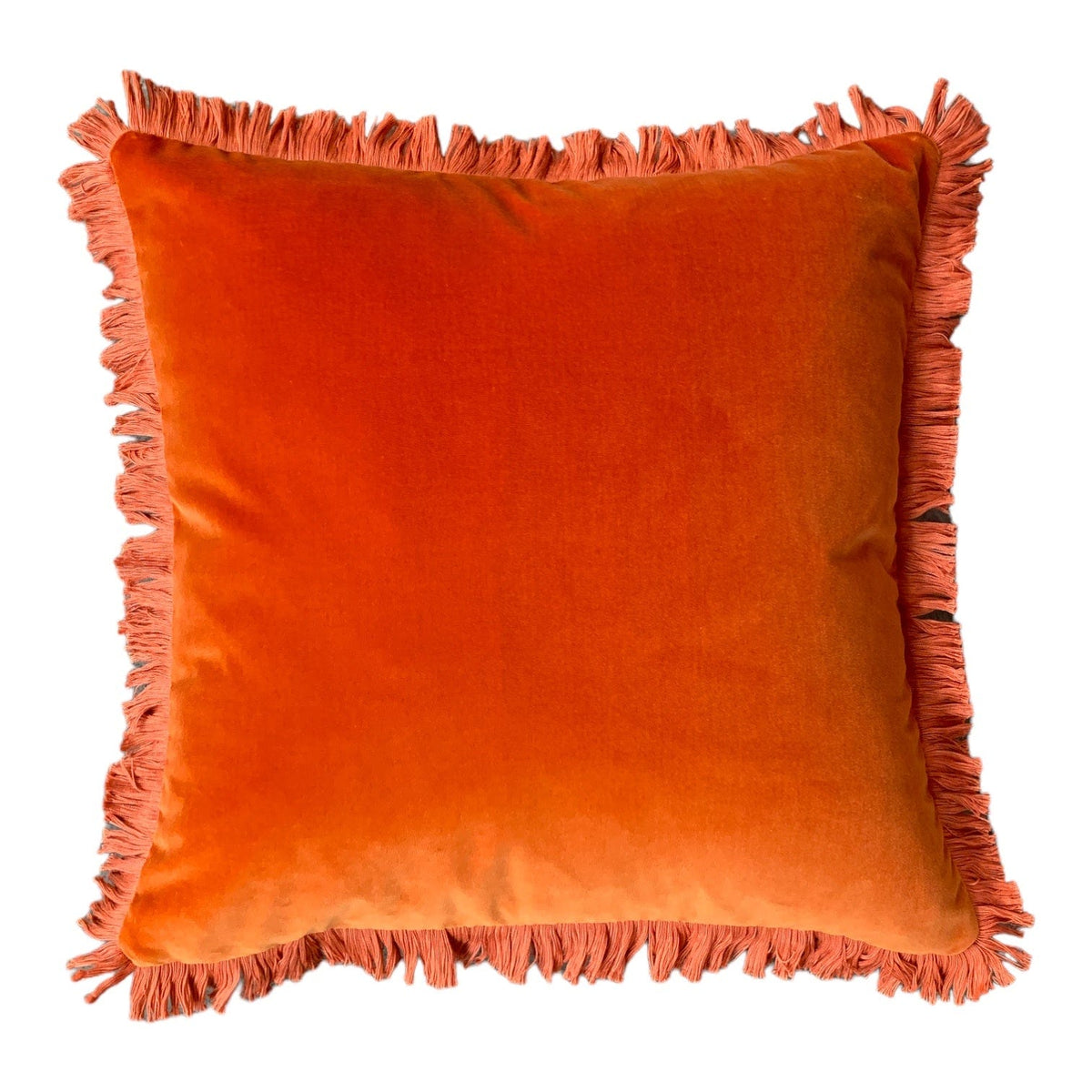 Tangerine Cotton Velvet 55x55cm Fringed Cushion Little & Fox